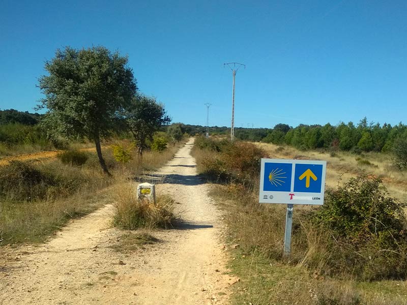 etapa-leon-rabanaldelcamino-d