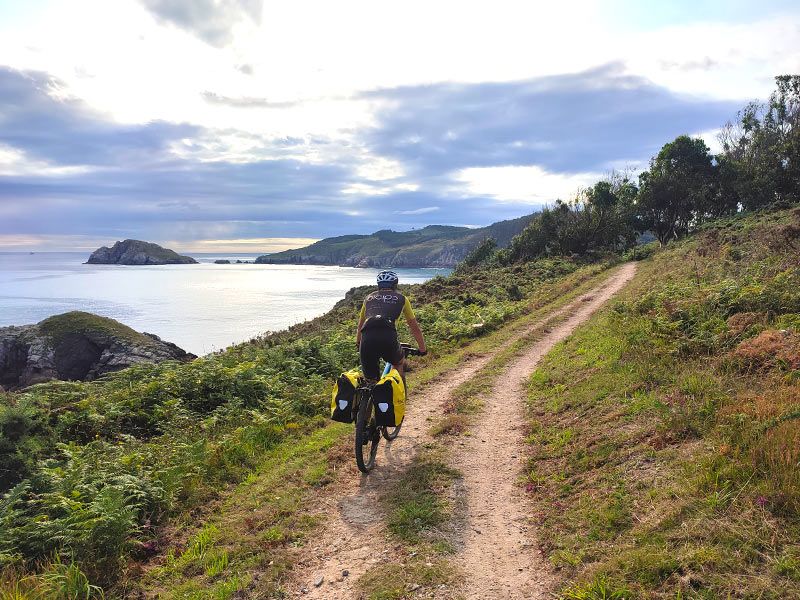 etapa-viveiro-burela-d