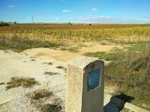 Guia-del-Camino-Frances-300×225